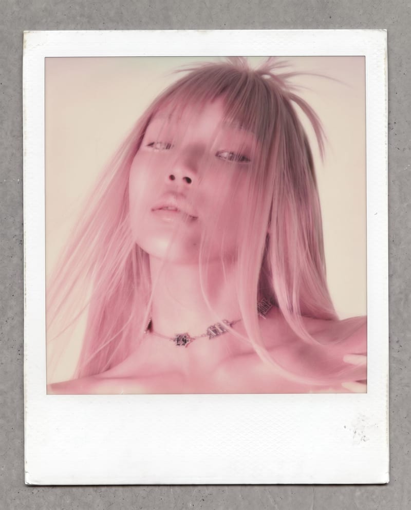 Vintage Polaroid Image