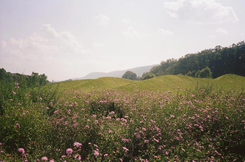 Source Image