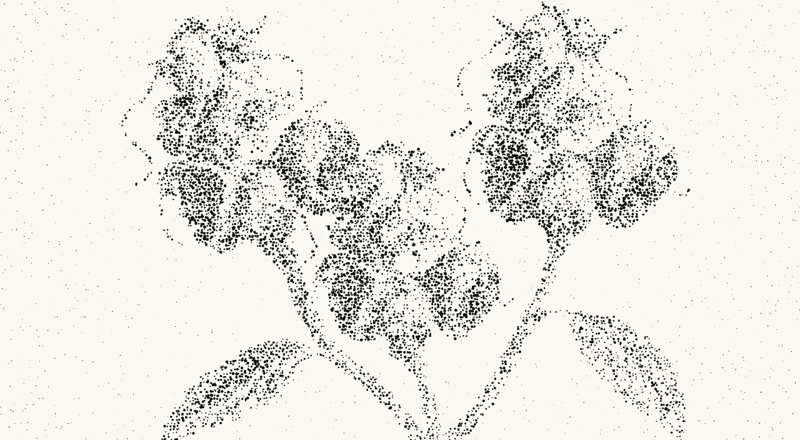 Create a stippled monochrome image