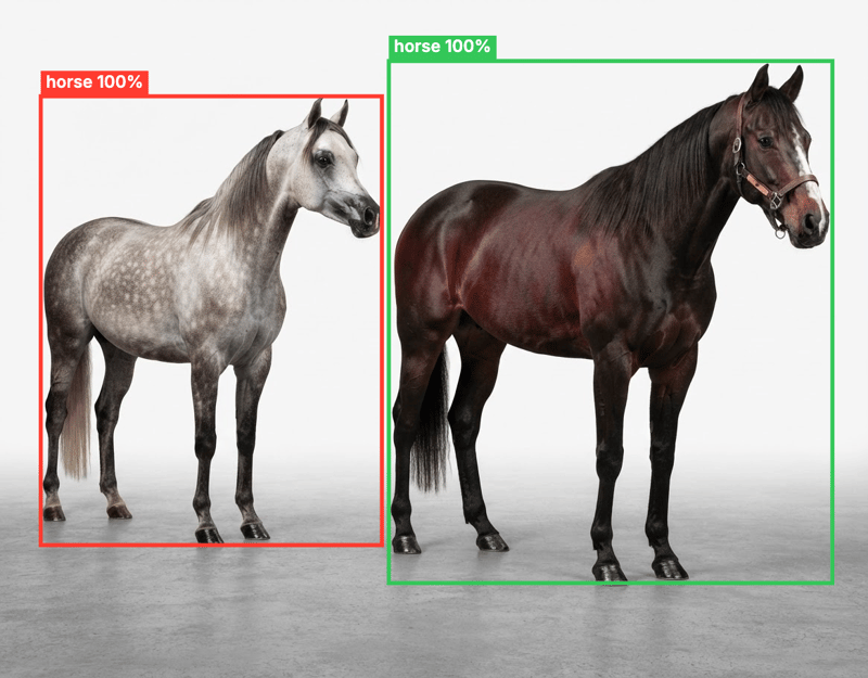 Detect objects in an image