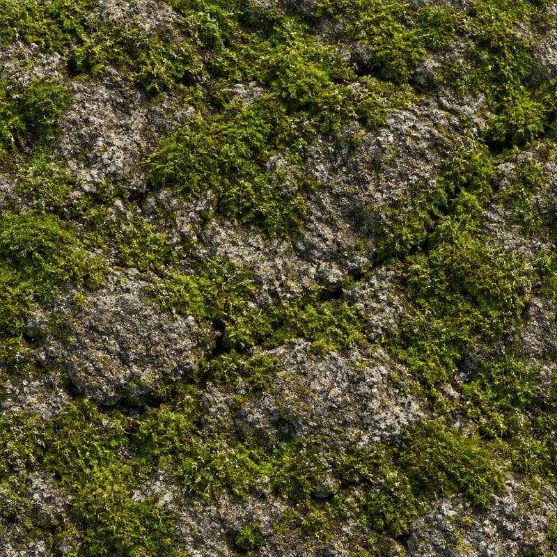 Generated Image 7