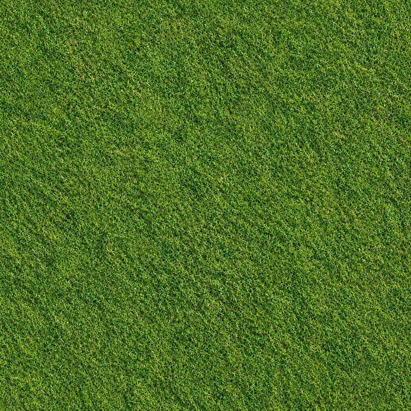 Generated Image 3