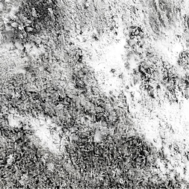 Ambient Occlusion Map