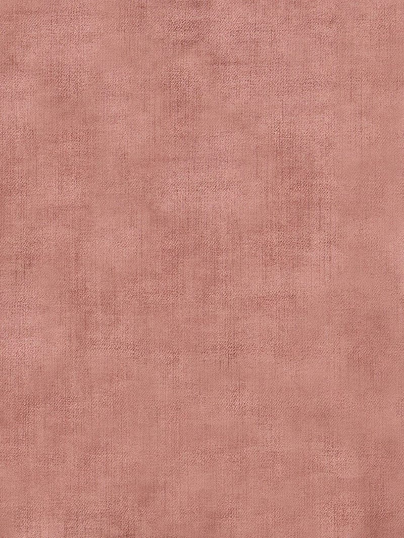 Source Image