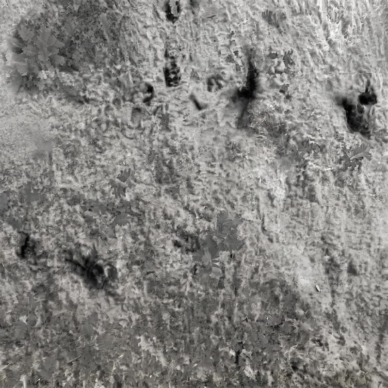 Roughness Map